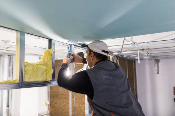 Insulation Contractors for Homes in Amherst, VA
